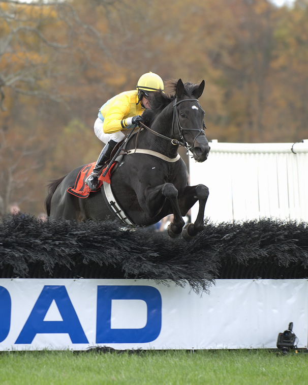 Demonstrative-last-jump-Grand-National-from-outside-1WEB.jpg